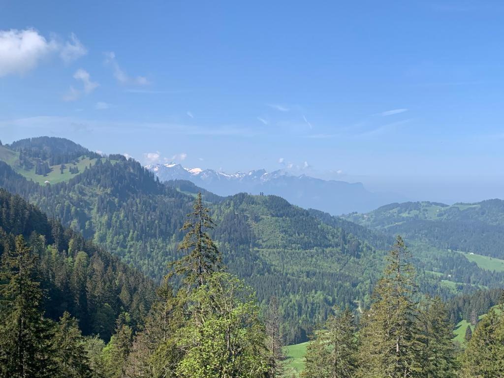 Boutique Hotel Corbetta - Spa 60M2 - La Montagne A 5 Minutes De L'Autoroute A12 Aux Paccots Sur Montreux - Nouveau Loft Familial - Profitez Du Lac Leman Et Des Montagnes En Meme Temps Les Paccots Екстериор снимка